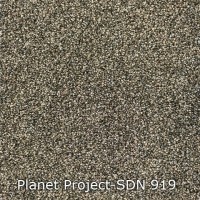 Planet Project-SDN 919
